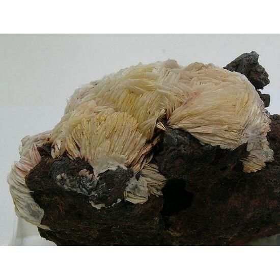 Baryte & Goethite Psm Siderite