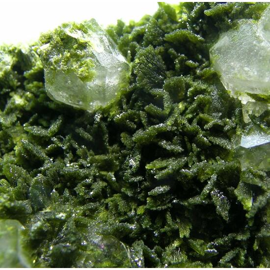 Clinozoisite & Quartz