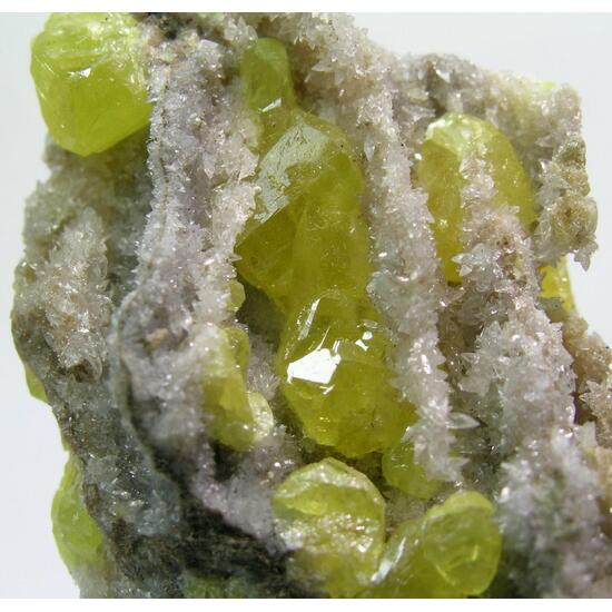 Native Sulphur