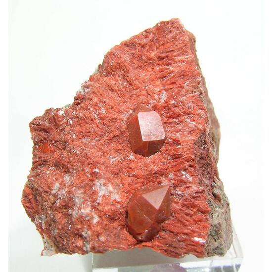 Jacinto de Compostela Quartz