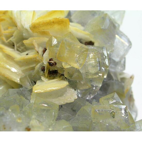 Fluorite & Baryte