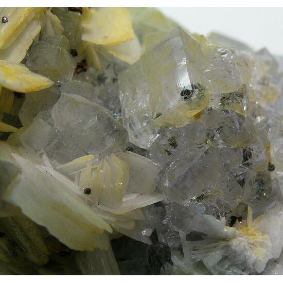 Fluorite & Baryte