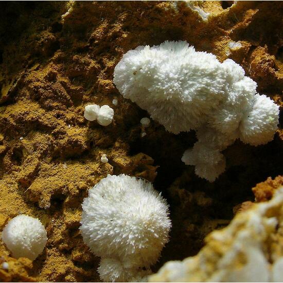 Strontianite & Calcite