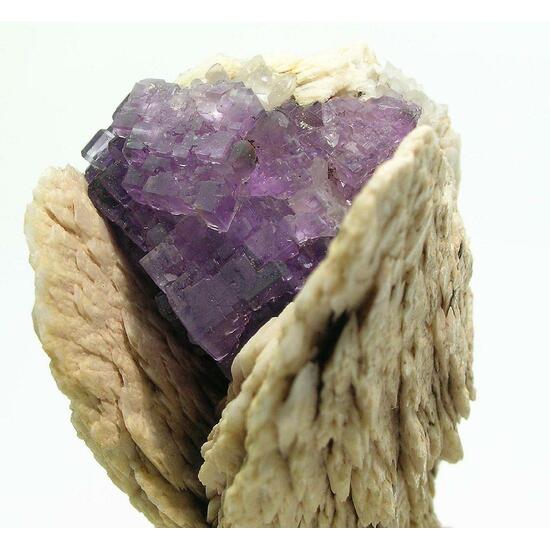 Fluorite & Baryte