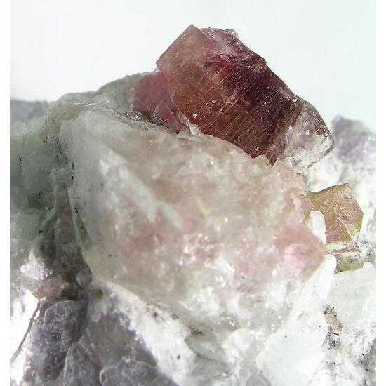 Rubellite & Lepidolite