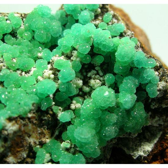 Cuprian Adamite