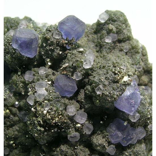 Fluorite & Pyrite