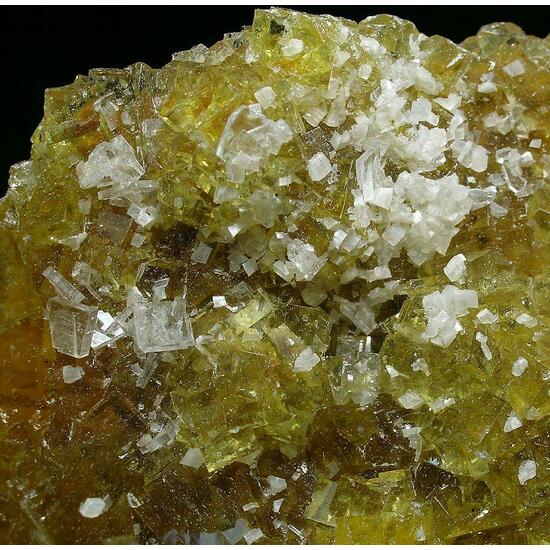 Fluorite Baryte & Dolomite