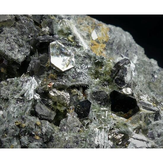 Clinochlore & Pyrite