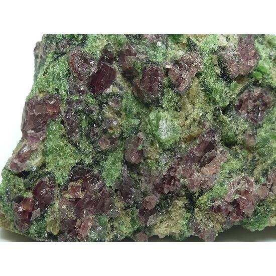 Pyrope & Chromian Diopside