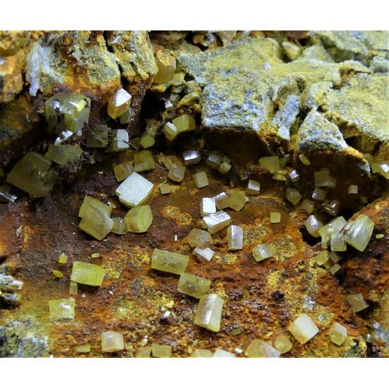 Wulfenite