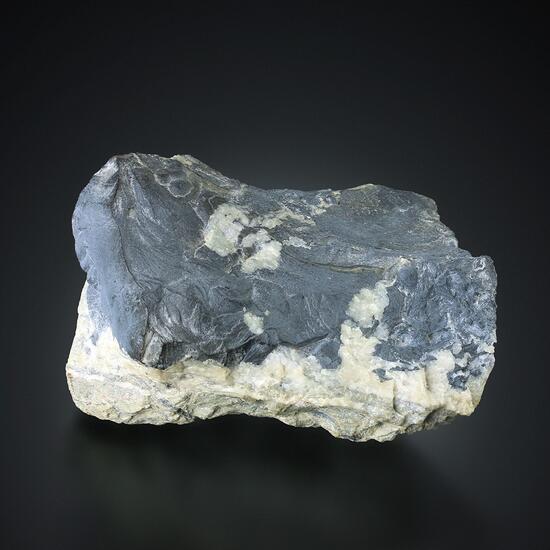 Native Silver With Native Arsenic