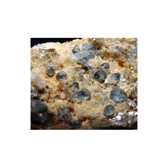 Apatite & Phlogopite