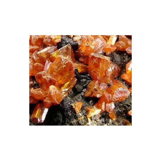 Orpiment & Hutchinsonite