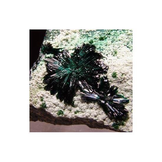 Atacamite Olivenite & Picropharmacolite