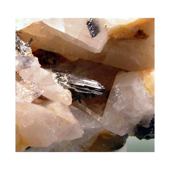 Wolframite & Quartz