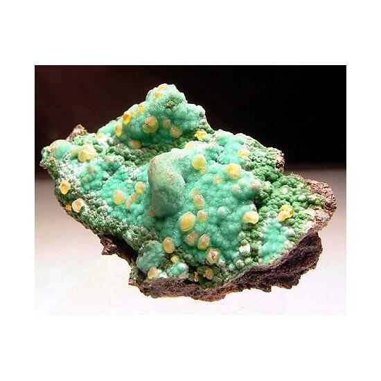 Wulfenite Chrysocolla & Malachite