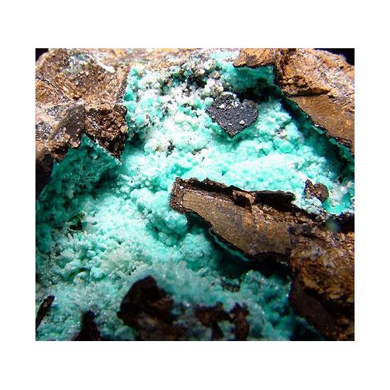 Aurichalcite