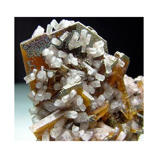 Baryte Calcite & Pyrite