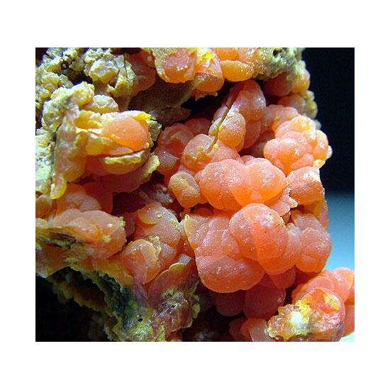 Mimetite