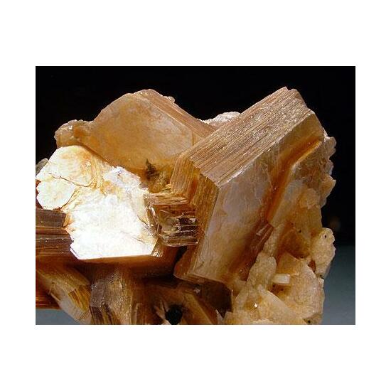 Muscovite