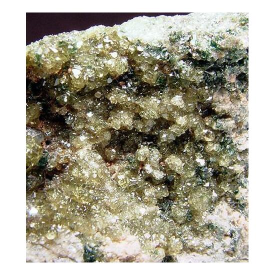 Vesuvianite & Clinochlore