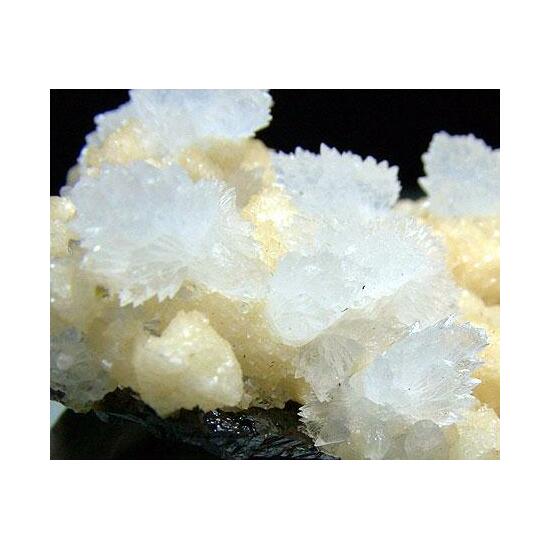 Calcite & Dolomite On Quartz