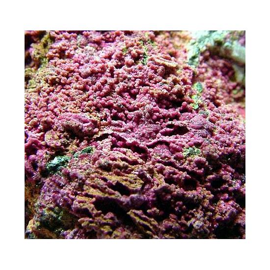 Erythrite