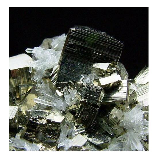 Pyrite & Quartz On Chalcopyrite