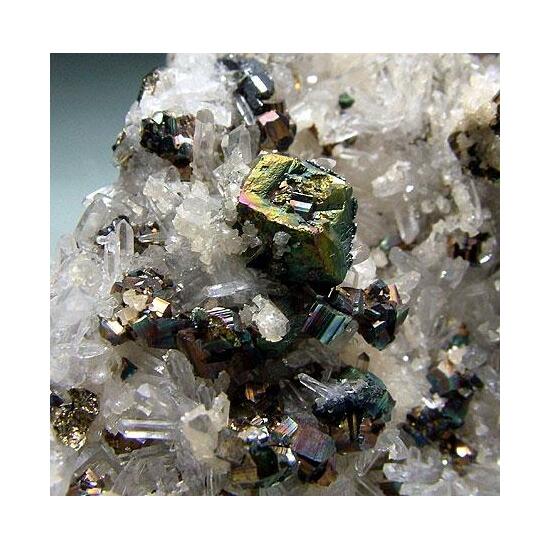 Pyrite Tennantite & Quartz