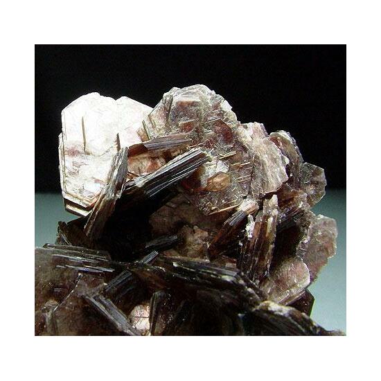 Muscovite