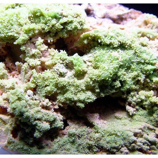 Pyromorphite