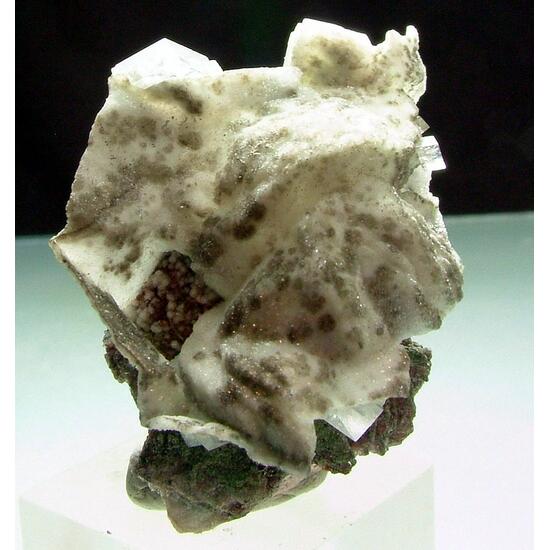 Calcite & Dolomite Shell