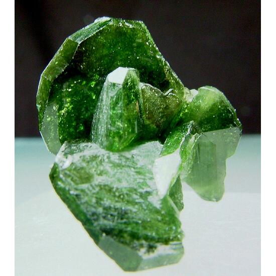 Uvite