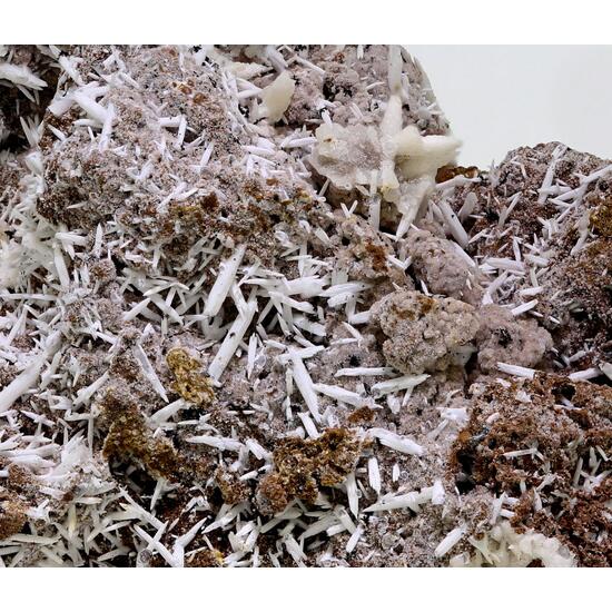 Aragonite & Phillipsite