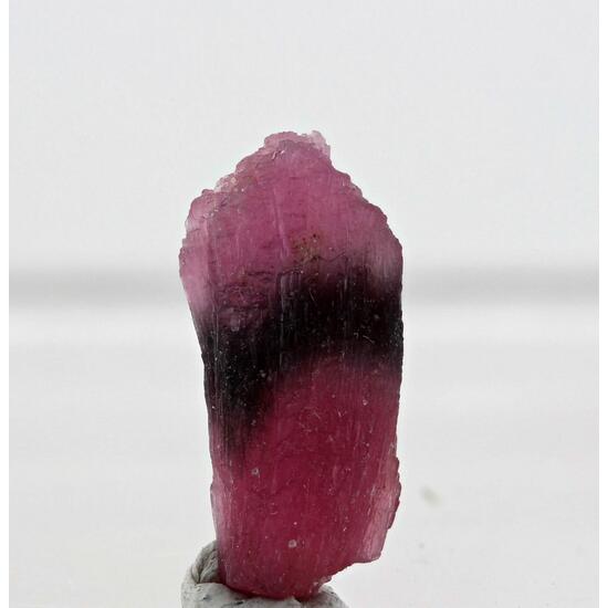 Rubellite