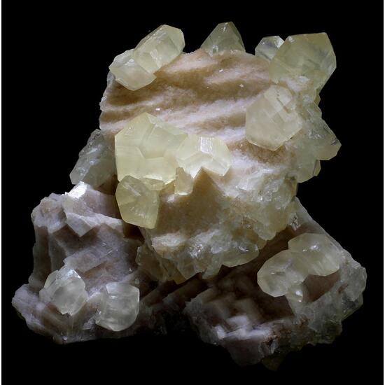 Calcite & Dolomite Shell