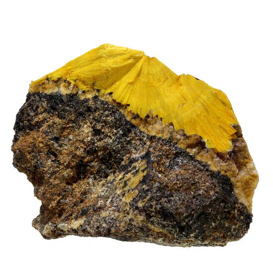 Boltwoodite