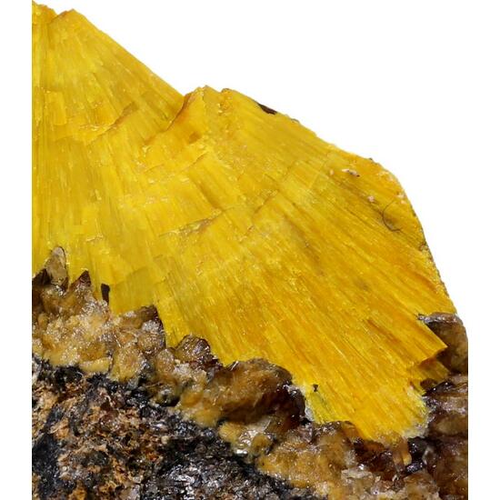 Boltwoodite