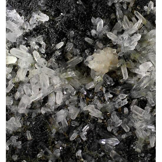 Quartz Calcite & Clinochlore On Magnetite