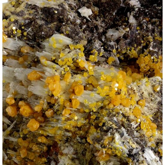 Wulfenite & Baryte