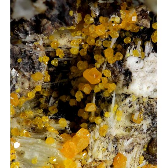 Wulfenite & Baryte