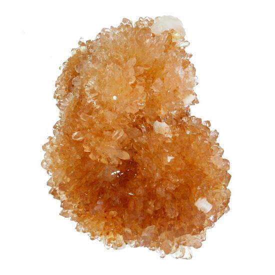 Creedite