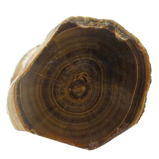 Baryte Var Oakstone