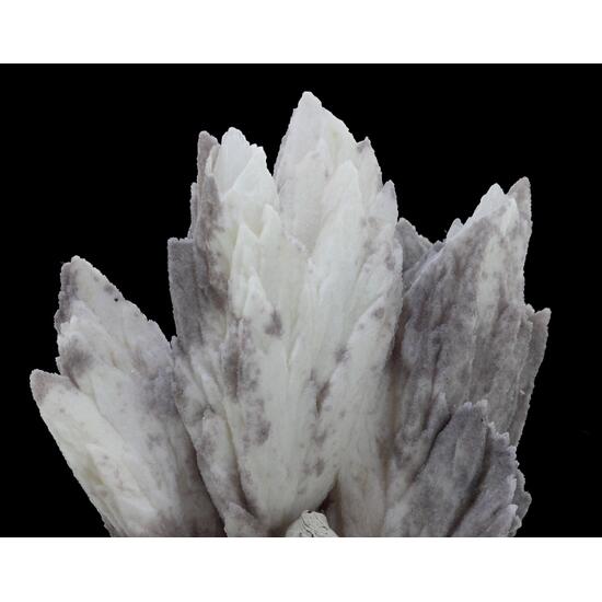 Calcite Cast