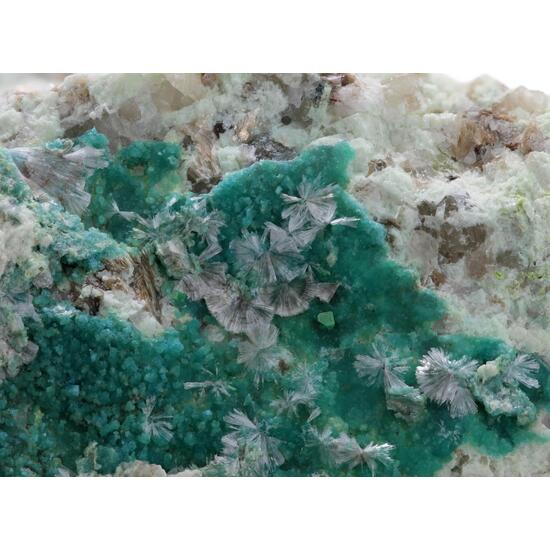 Turquoise Wavellite & Torbernite