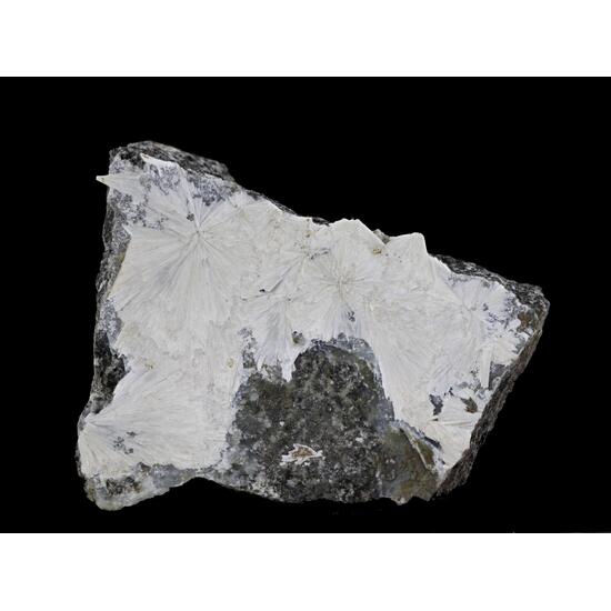 Pectolite