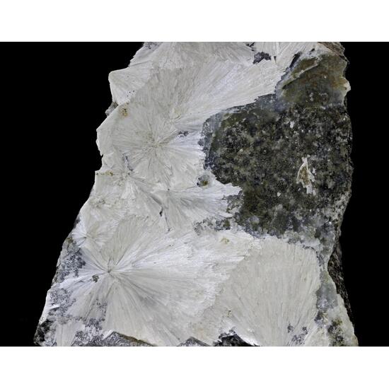 Pectolite