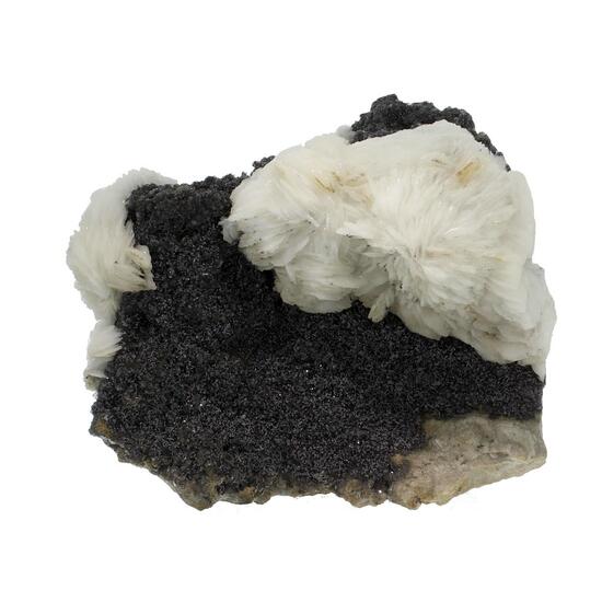 Baryte & Sphalerite