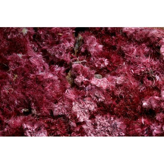 Erythrite